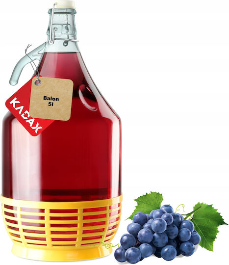 Kadax 5l Balloon Carafe Wine Bottle Closure