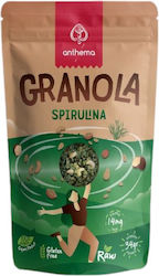 Green Bay Bio Γκρανόλα Σπιρουλίνα 350gr Green Bay Bio Γκρανόλα Σπιρουλίνα 350gr