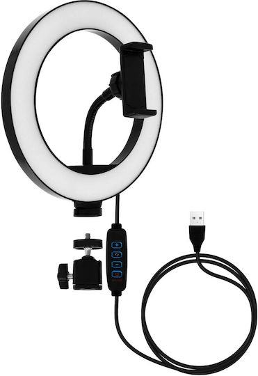 LinQ LED Ринг Лампа 20 см