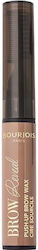 Bourjois Brow Reveal 6gr Bourjois Brow Reveal 6gr