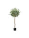 Olive Outdoor Tree 120cm Marhome