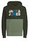 Kids Sweatshirt with Hood and Pockets Green