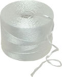 Polypropylene Plastic Twine White 8000d Ball 0.5kg Price per Kilo