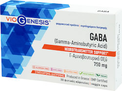 Viogenesis GABA 750mg 30 Φυτικές Κάψουλες Viogenesis GABA 750mg 30 Φυτικές Κάψουλες
