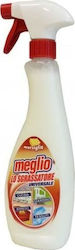 Meglio Sprühreiniger mit desinfizierender Wirkung 1x750ml