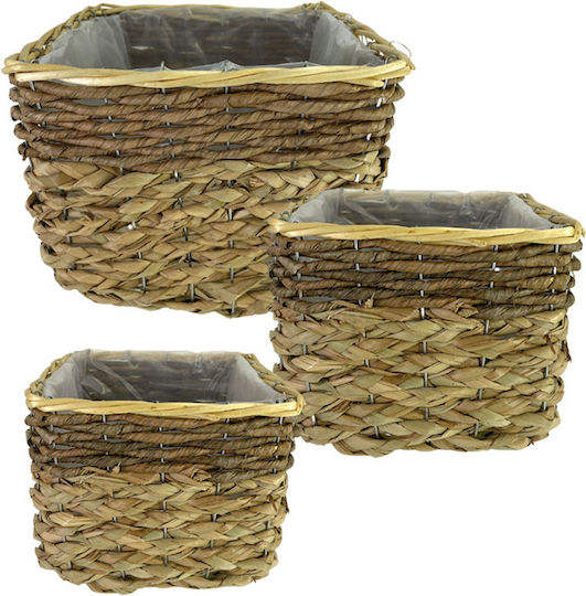 Basket Planter Straw Set/3 Natural Brown Square L:25.5x25.5x20 M:20.5x20.5x17 S:15.5x15.5x15cm 8/kib