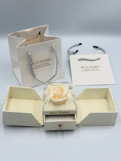Box with Rose in Jewelry Case Valentine's Day Souvenir for Lovers White