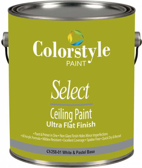 Colorstyle Paint Select Plastik Farbe für Innenbereich Verwendung Λευκό Cs 258 3Es