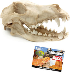 Reptile Nova Accessory for Reptiles Terrarium