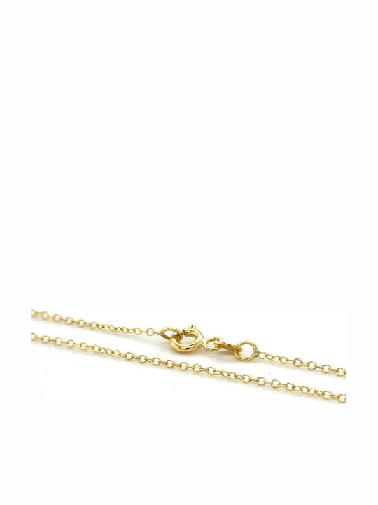 Drandakis Gold Chain Neck 9K Length 40cm