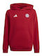 Kids Sweatshirt with Hood and Pockets Red
