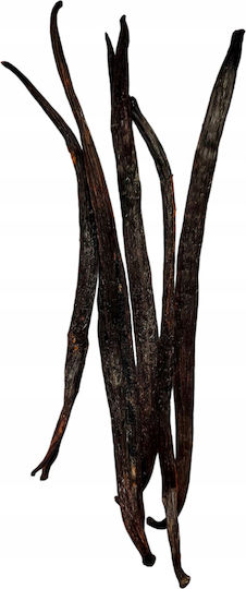 Royal Brand Vanilla in Stick