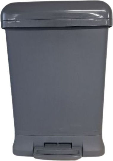 Viopsyctr Coș de Gunoi Plastic cu Pedală Gri 38lt 1buc
