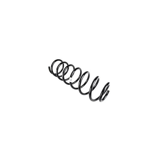 Arc spiral Ford Escort V Gal Magnum Technology