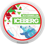 Iceberg Nicotine Pouches Medium 20mg