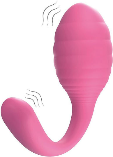 Virgite Vibrator Egg