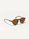 Moscot Sunglasses with Brown Tartaruga Plastic Frame and Brown Lens MOSCOT MILTZEN