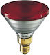 Philips Speziallampe 175W für Fassung E27