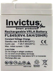 Invictus 07.02.0175 UPS Battery 6V 4.5Ah Invictus 07.02.0175 UPS Battery 6V 4.5Ah