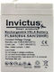 Invictus UPS Battery with Capacity 4.5Ah and Voltage 6V 07.02.0175 1pcs