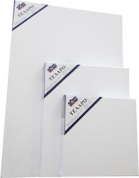 Exas Paper Καμβάς σε Τελάρο Λευκός 70x100εκ. 380gr/m² 1τμχ Exas Paper Καμβάς σε Τελάρο Λευκός 70x100εκ. 380gr/m² 1τμχ
