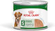 Υγρή Τροφή Royal Canin Mini Ageing 8+ Loaf Πατέ Ώριμους Σκύλους Μικρόσωμων Φυλών Άνω 8 Ετών Μέχρι 10kg 195gr