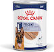Royal Canin Maxi Adult Loaf Pate for Large Bree...