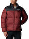Winter Jacket Puffer Burgundy