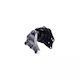 Suport Motor Seat Ibiza V Sportcoupe 6j1 6p5 1.9 Tdi 2008-2010 Corteco 80000324