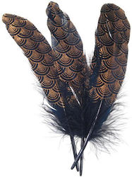 Black-Gold Feather 19cm