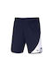 Mizuno Men's Athletic Shorts Blue