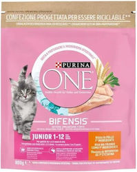 Purina One One 0.8кг Purina One One 0.8кг