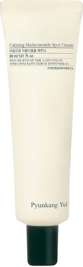 Pyunkang Yul Calming Madecasoside Spot Cream 30 Ml Calming Spot Cream