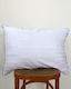 Pennie Sleep Pillow Cotton Hard 50x70cm