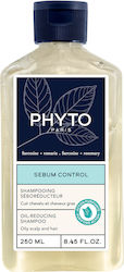 Phyto Shampoo Lösungen 250ml