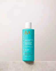 Moroccanoil Scalp Balancing Moroccanoil Scalp Balancing