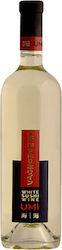 Vin Alb Arione Umi Sushi 0.75l