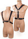 Harness Rot