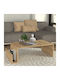 Rectangular Central Coffee Table Regnar Wooden Sapphire Oak W100.6xD55xH31.8cm
