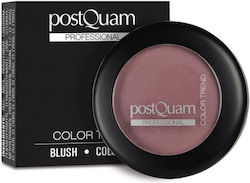 PostQuam Professional Blush Postquam Aquarelle 10gr