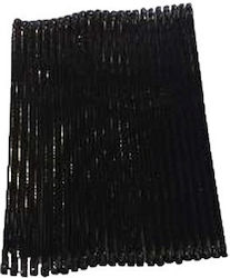 Iris 24pcs Black Hair Pin