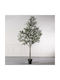 Künstlicher Baum für den Außenbereich Olive Grün 310cm Supergreens
