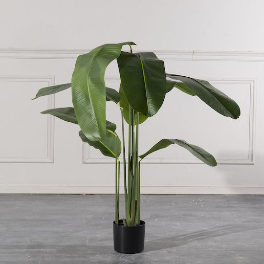 Πουλί του Παραδείσου Εξωτερικού Χώρου 180cm Supergreens
