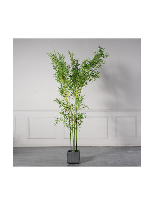 Φίκος Εξωτερικού Χώρου 240cm Supergreens