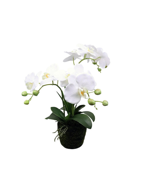 Supergreens Künstlicher Außenbaum Orchidee Phalaenopsis Weiß 42cm 1Stück