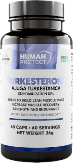 Turkesterone 500 Мг 60 Капсули