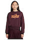 Fleece Παιδικό Φούτερ Καφέ Sportswear Club