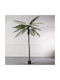 Supergreens Künstliche Robellini-Palme Grün 300 cm