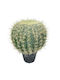 Supergreens Künstliche Echinocactus Pflanze 36 cm