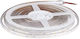 Bandă LED Albă 5 M Lungime 12v Dc 33w Putere Ip65 4500 Lm